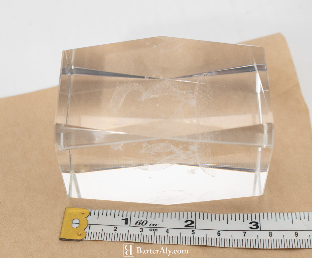 Glass Laser Cube Dolphins 3 x 2 inch used Block only 3d