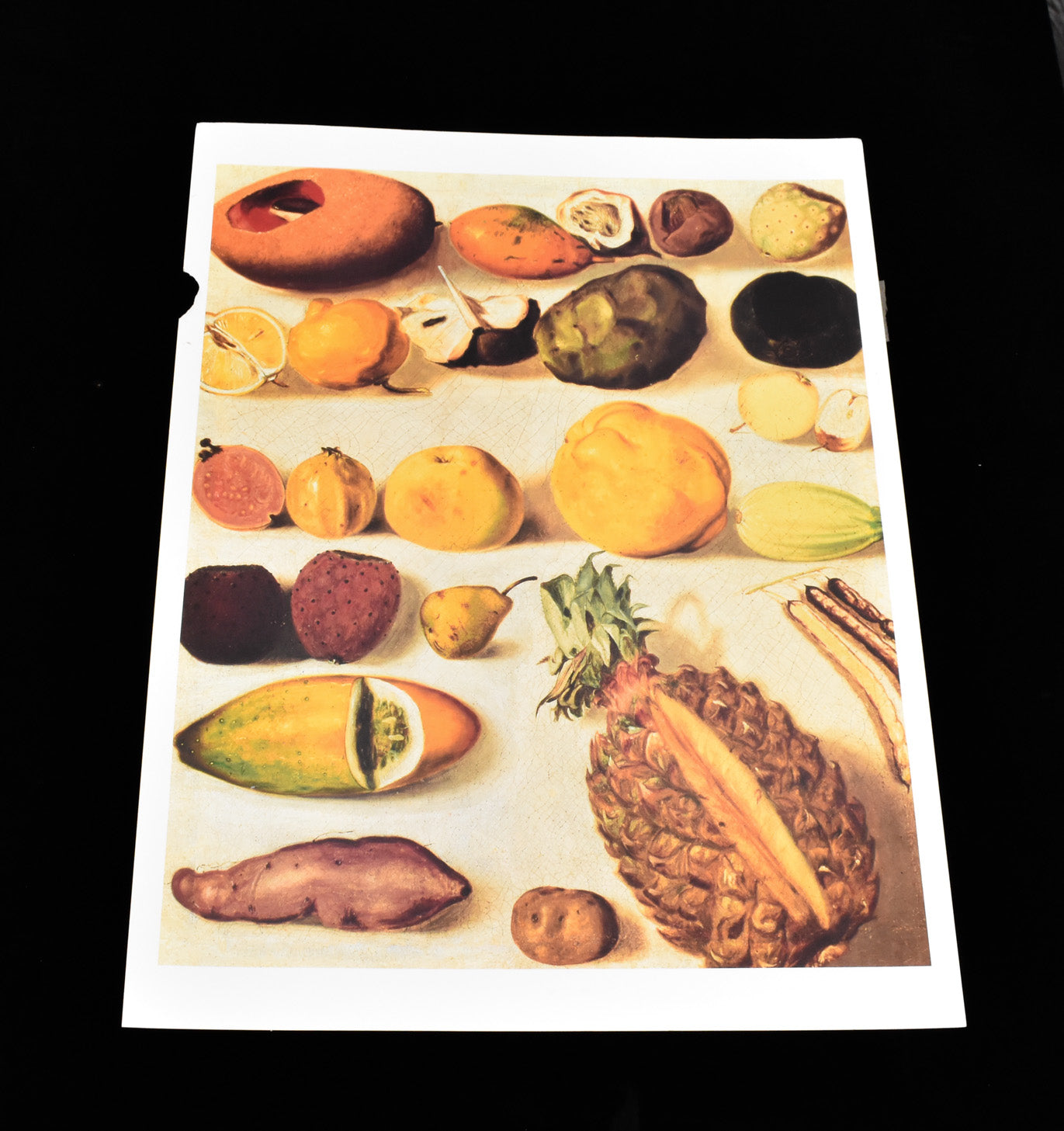 Hermenegildo Bustos Still Life With Pineapple Mango Pear And Other Fruit
