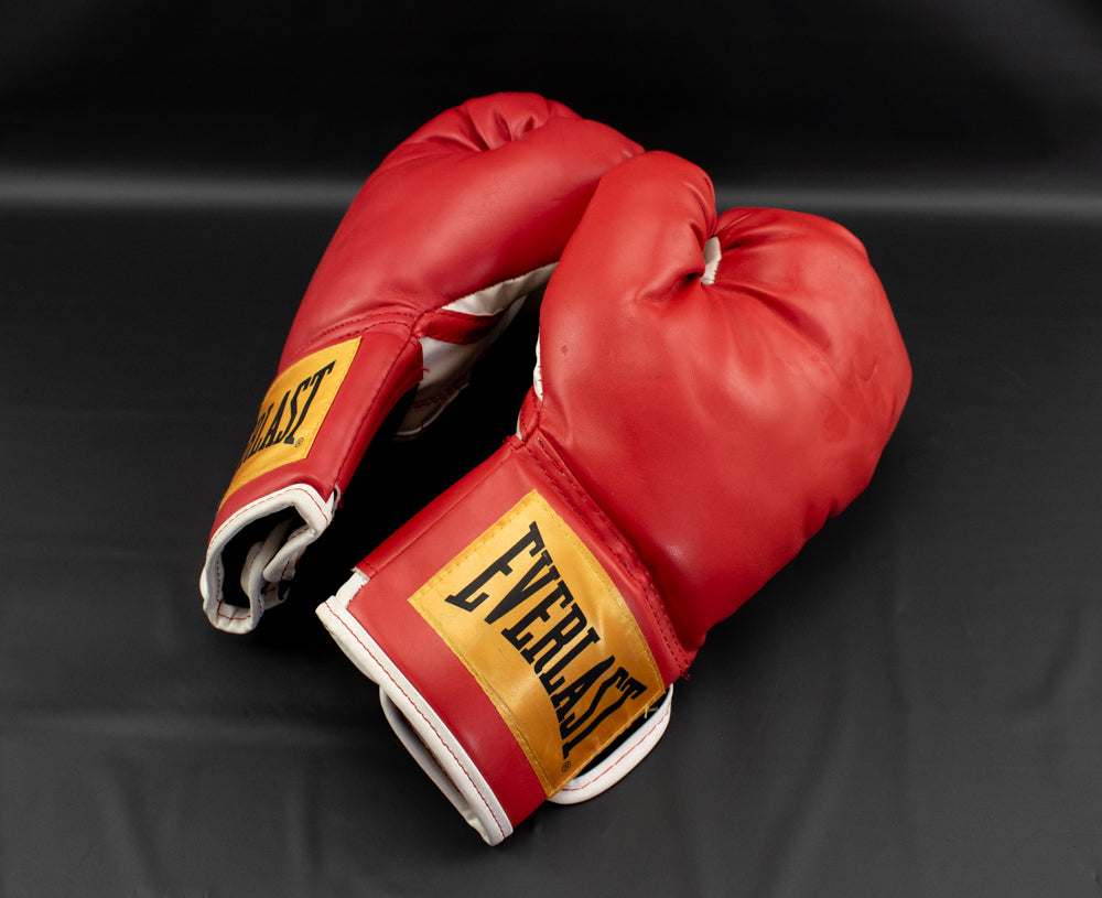 Red Everlast Boxing Gloves Used Adult Heavy Bag Gloves