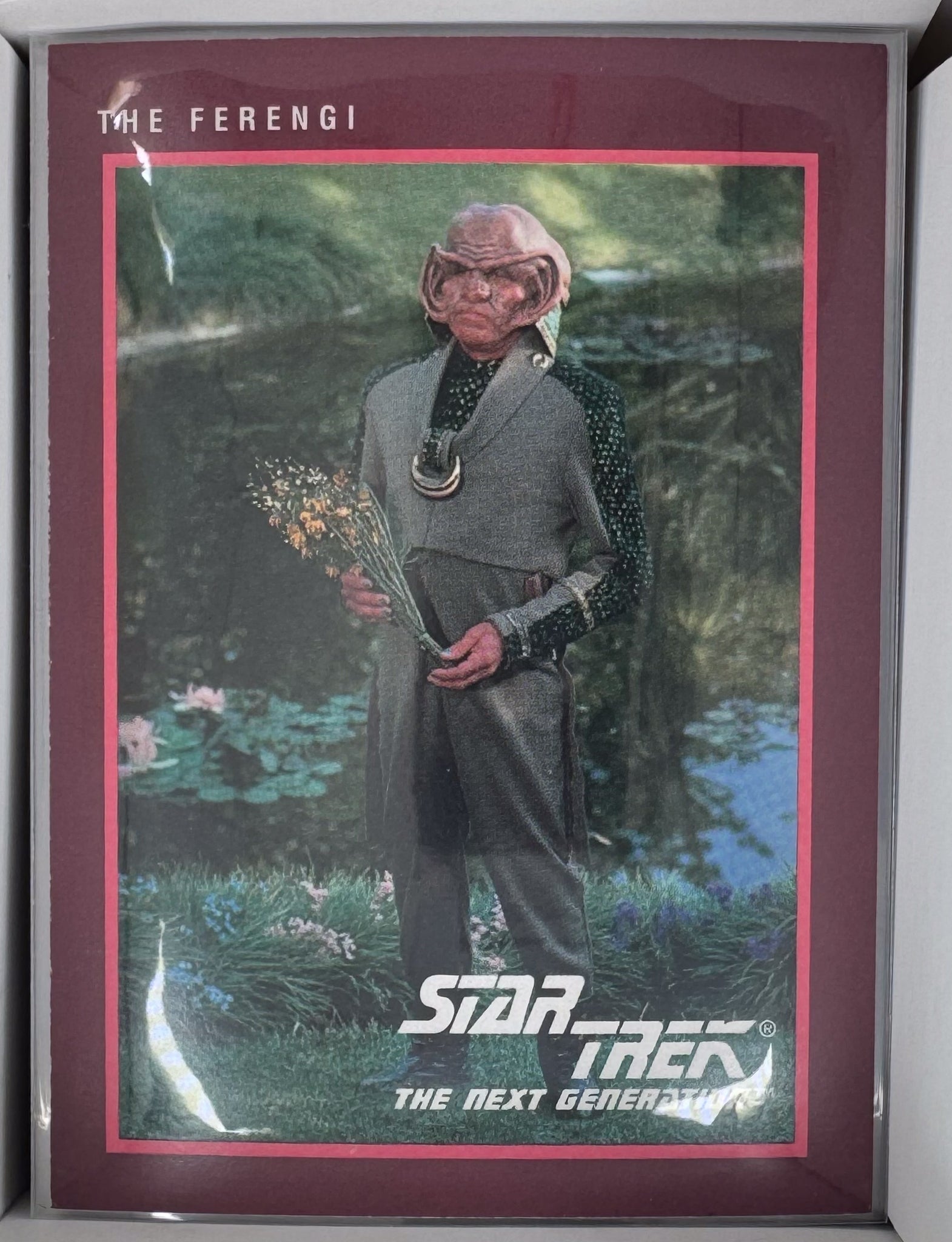 Star Trek Cards 87