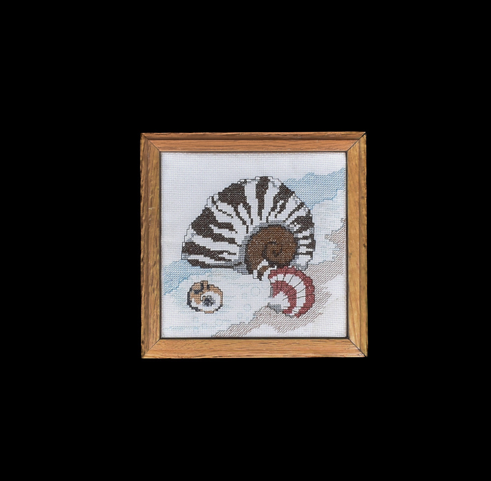 Framed Seashell Knitted Art Hand Made Wood Framed 7x7 Ocean Themed Decor