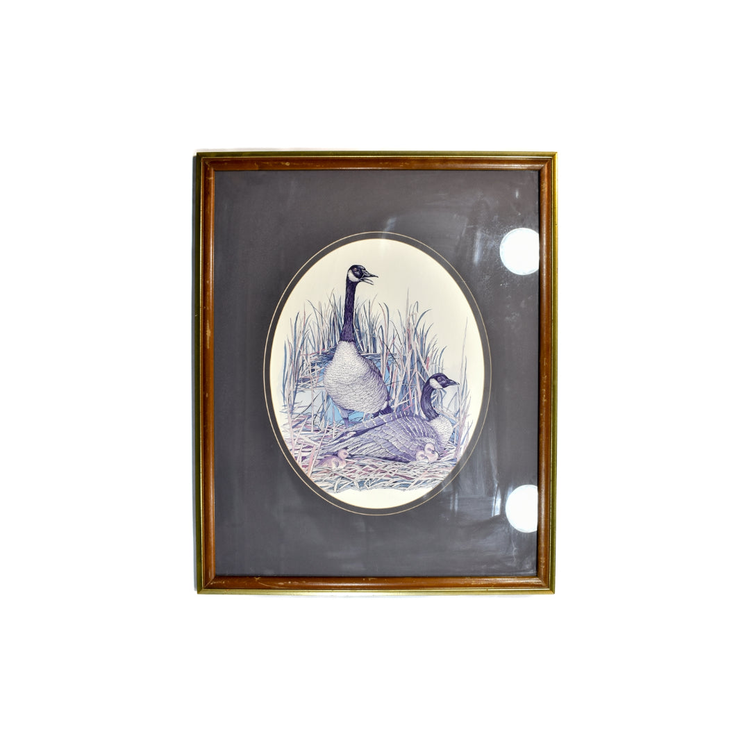 Framed Geese FEATHER ART Picture Ducks Large Geese photo 32x26