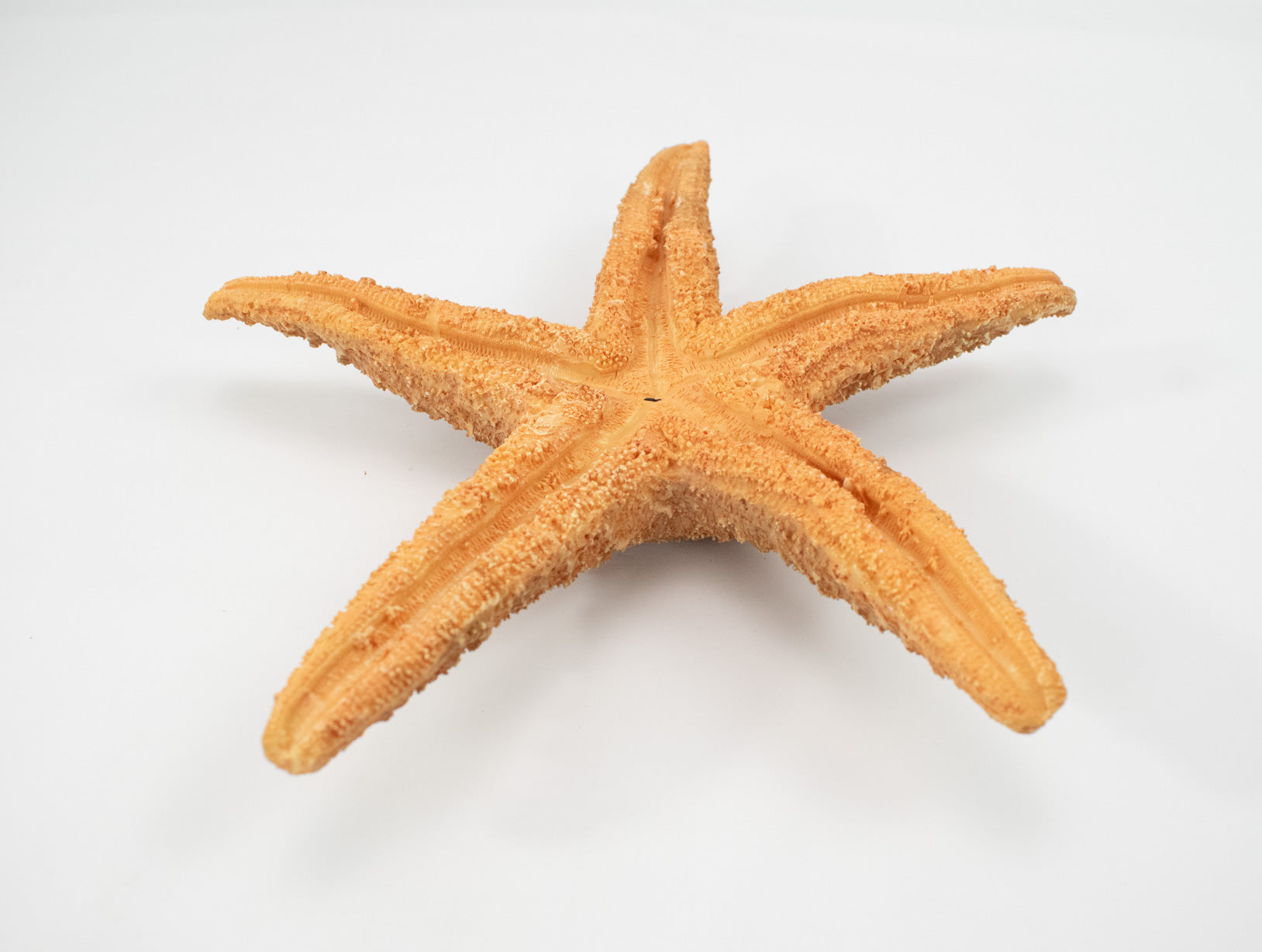 Hand Made Star Fish Candle Holder Bahamas Vacation Gift Beach Themed Candle Hold