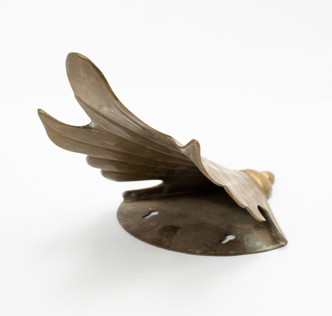 Brass Bronze Wall Decorative Metal Leaf Shell Pocket Piece Used 11in