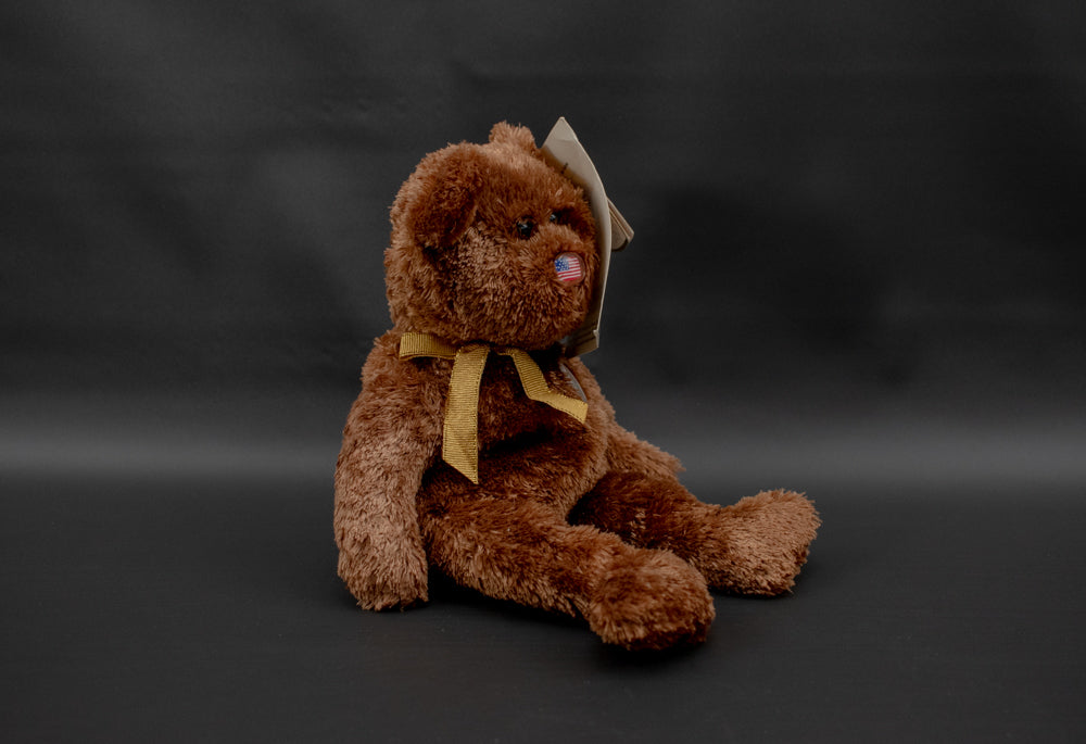 Fifa Word Cup Beanie Baby Brown Bear Korea Japan Limited Edition 2002