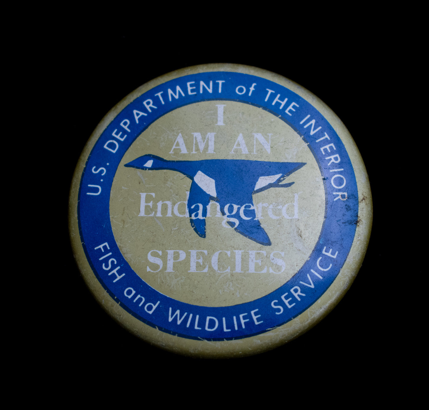 US Department of the Interior Fish Wild Life Service Vintage Button Used