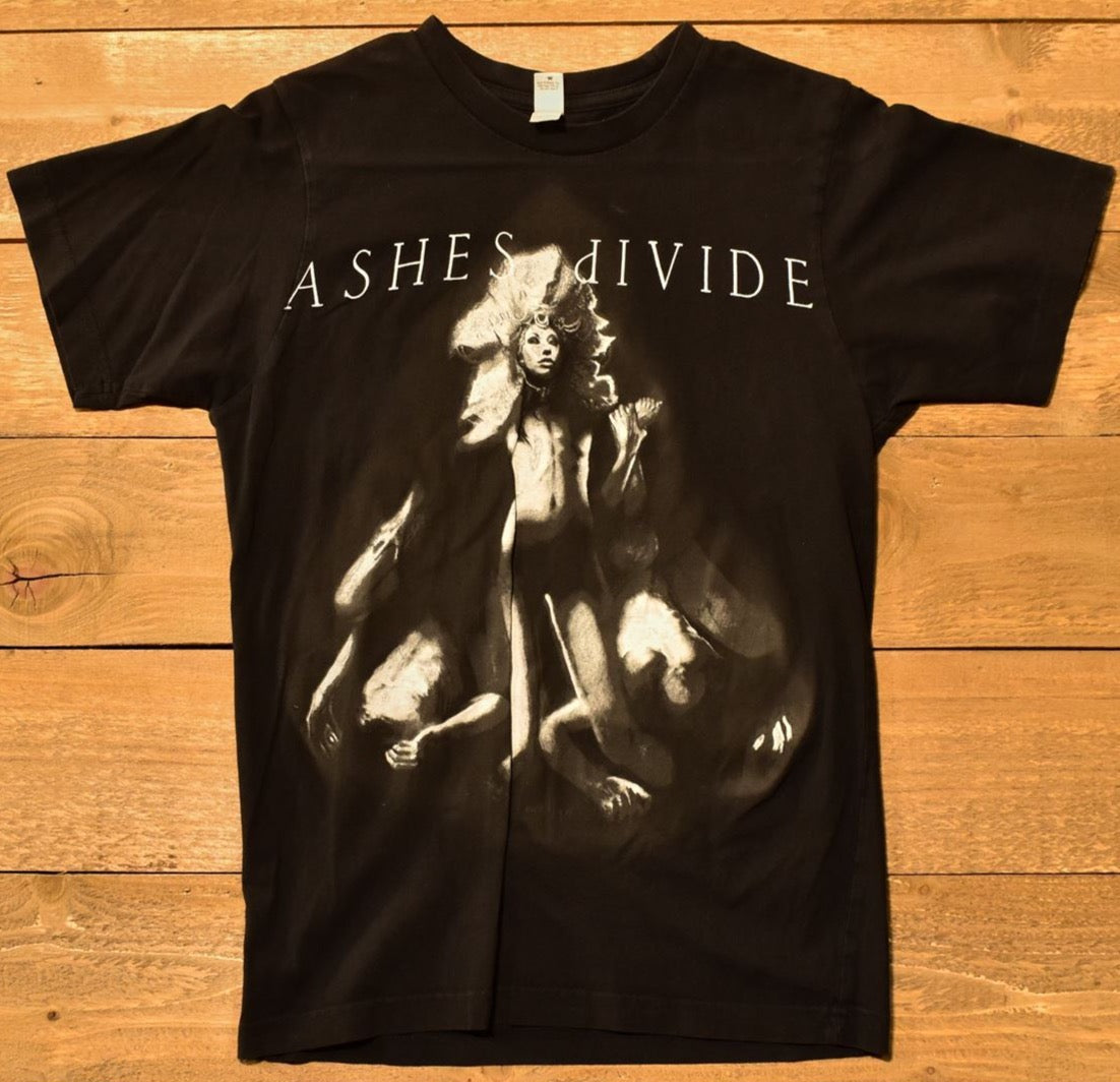 A she’s Divide Tour Shirt 2008 band Tee Small