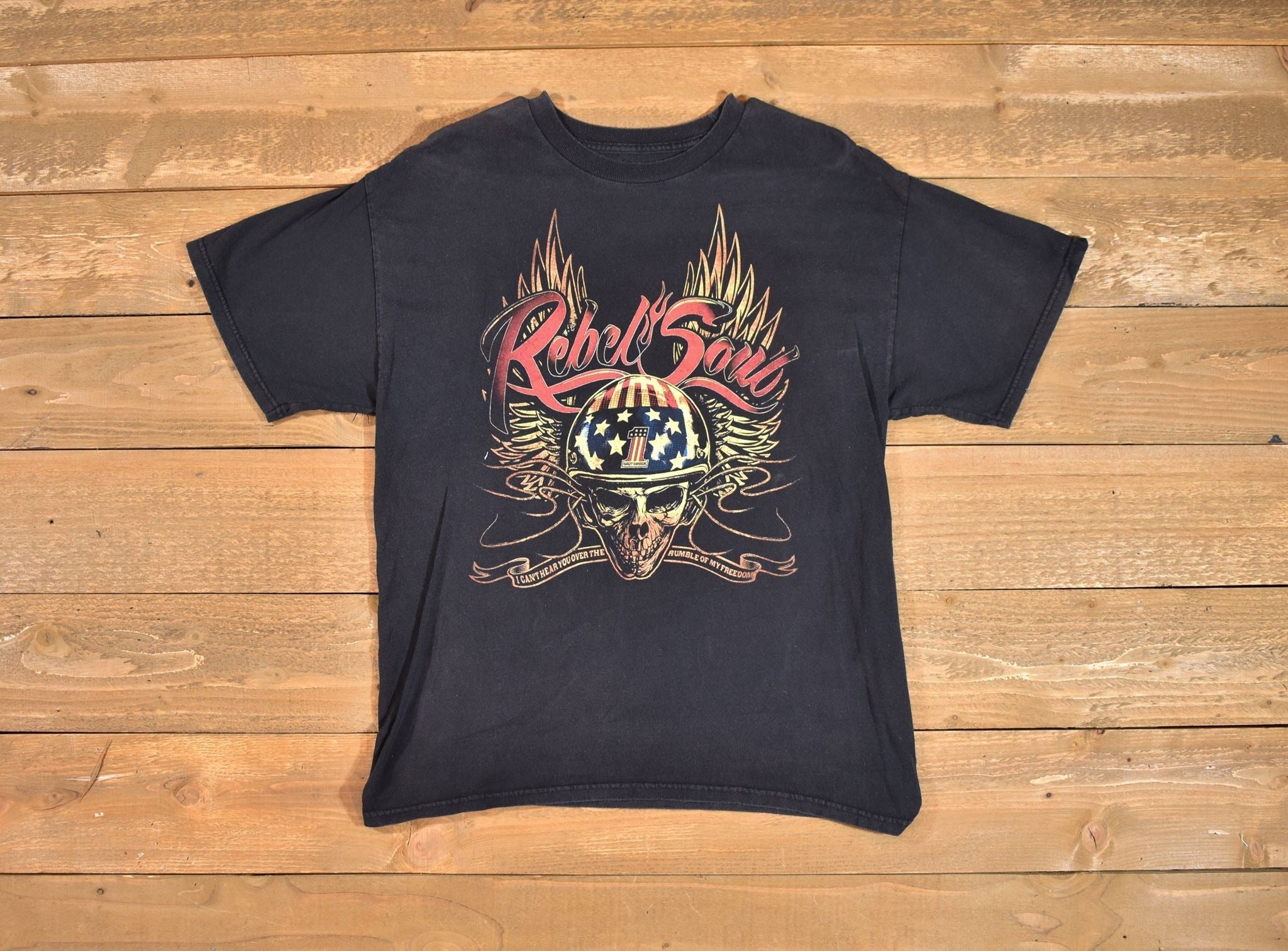 Kid Rock band T-shirt mens Large Concert tee Rebel Soul Tour Used - Faded