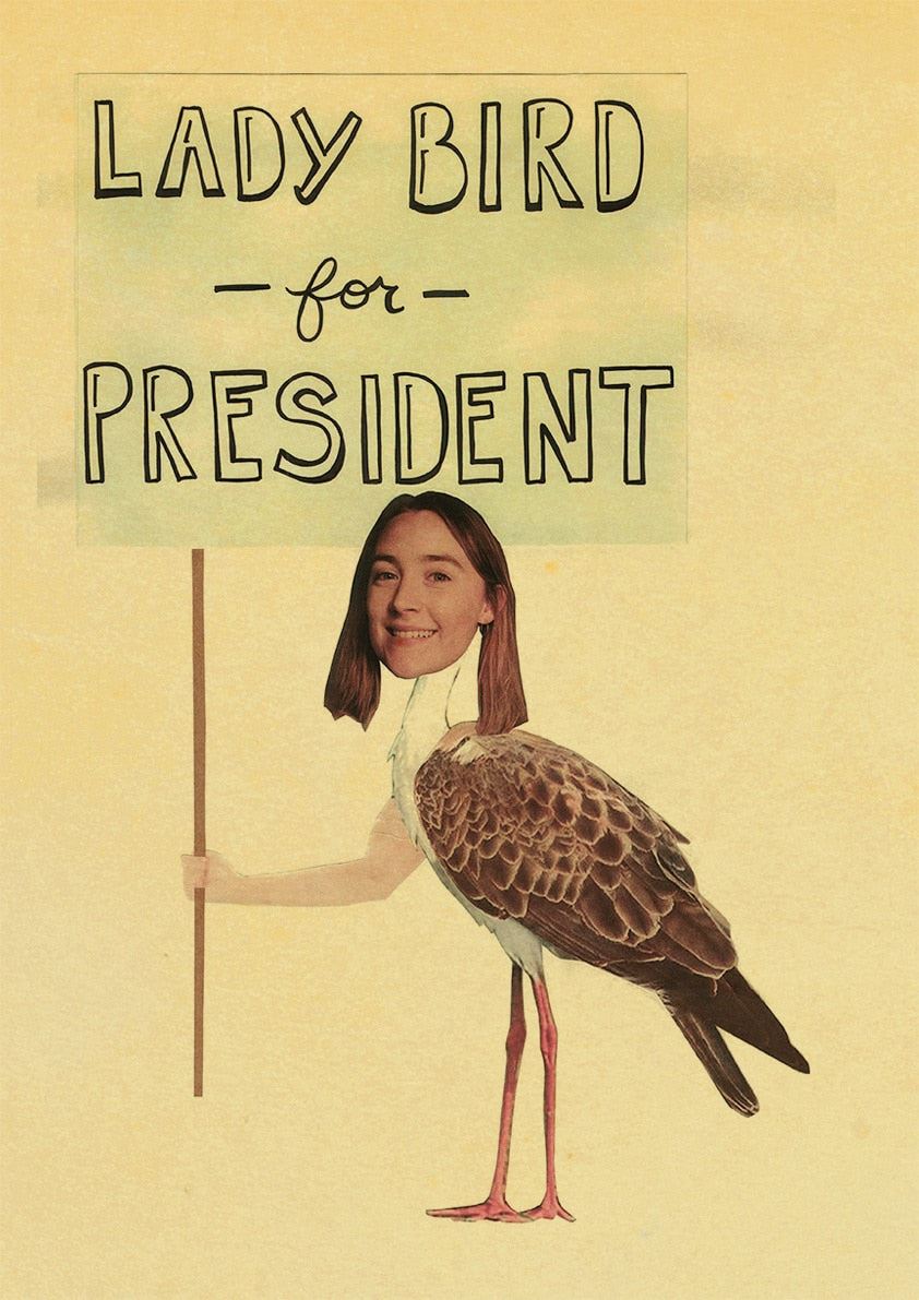 Lady Bird Movie Poster Greta-Gerwig-Film-Saoirse-Rona Vintage Posters and Prints 12x16