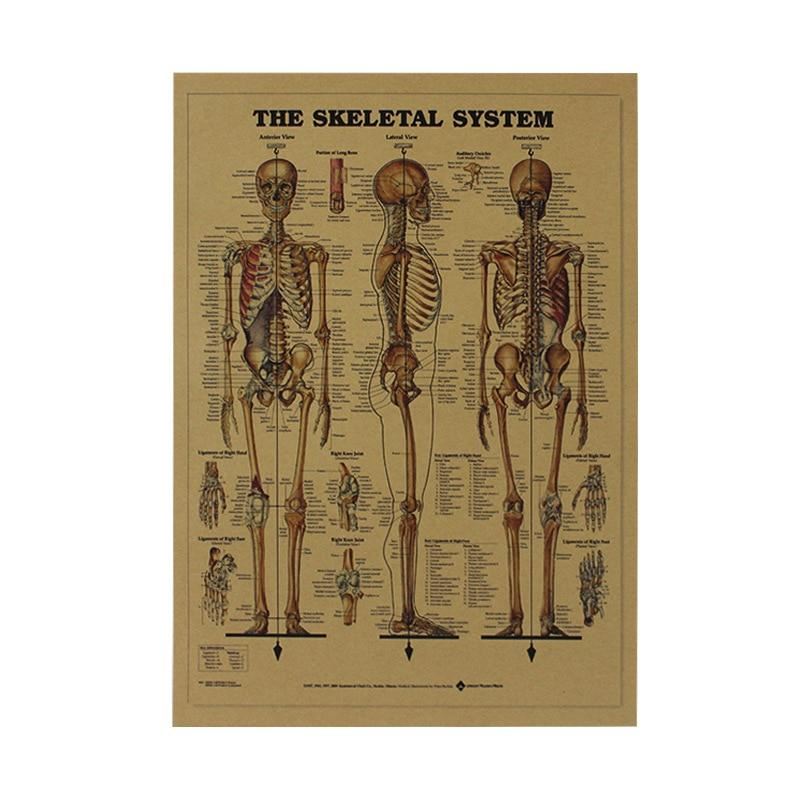Bone Network System Retro Kraft Paper Poster Interior Bar Cafe Decoration Print