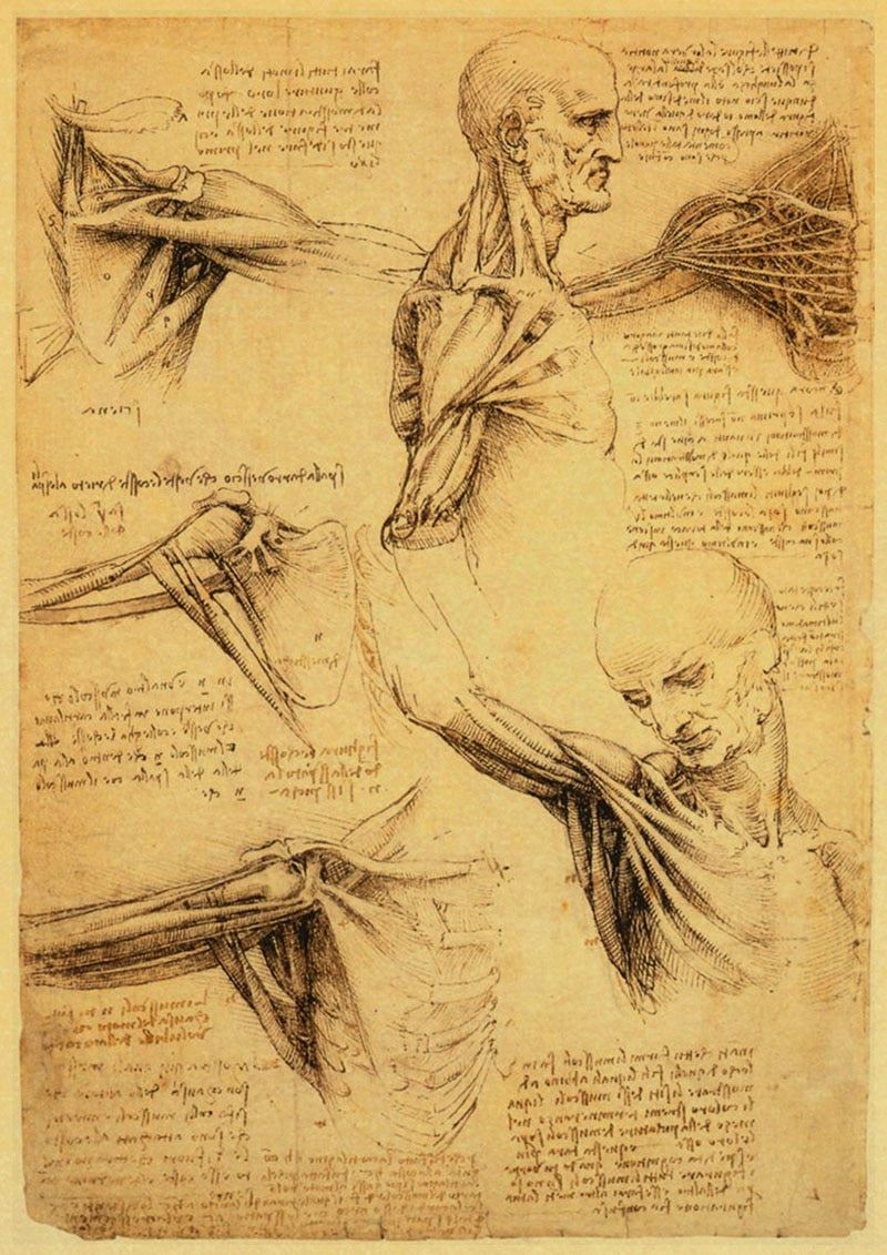 Leonardo Da Vinci Manuscript Vitruvian Man Posters Nostalgic Retro Decorative 12x16