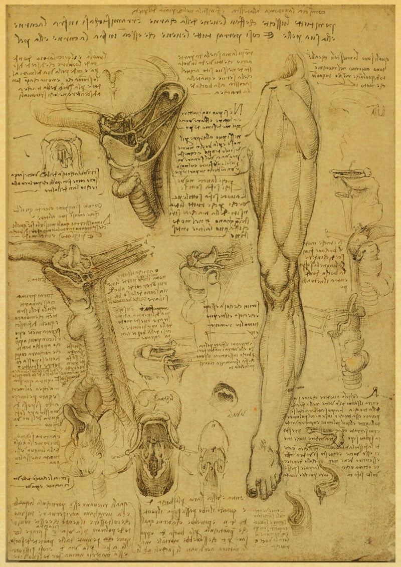 Leonardo Da Vinci Manuscript Vitruvian Man Posters Nostalgic Retro Decorative 12x16