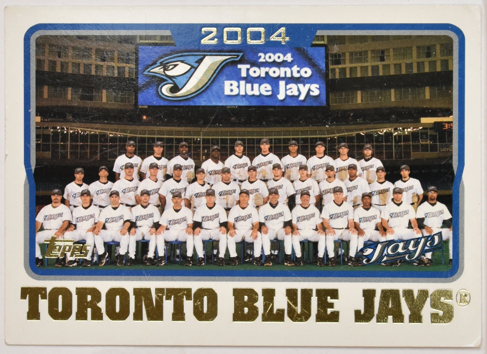 Toronto Blue Jays 667 Sky Dome Topps Baseball Card 2005