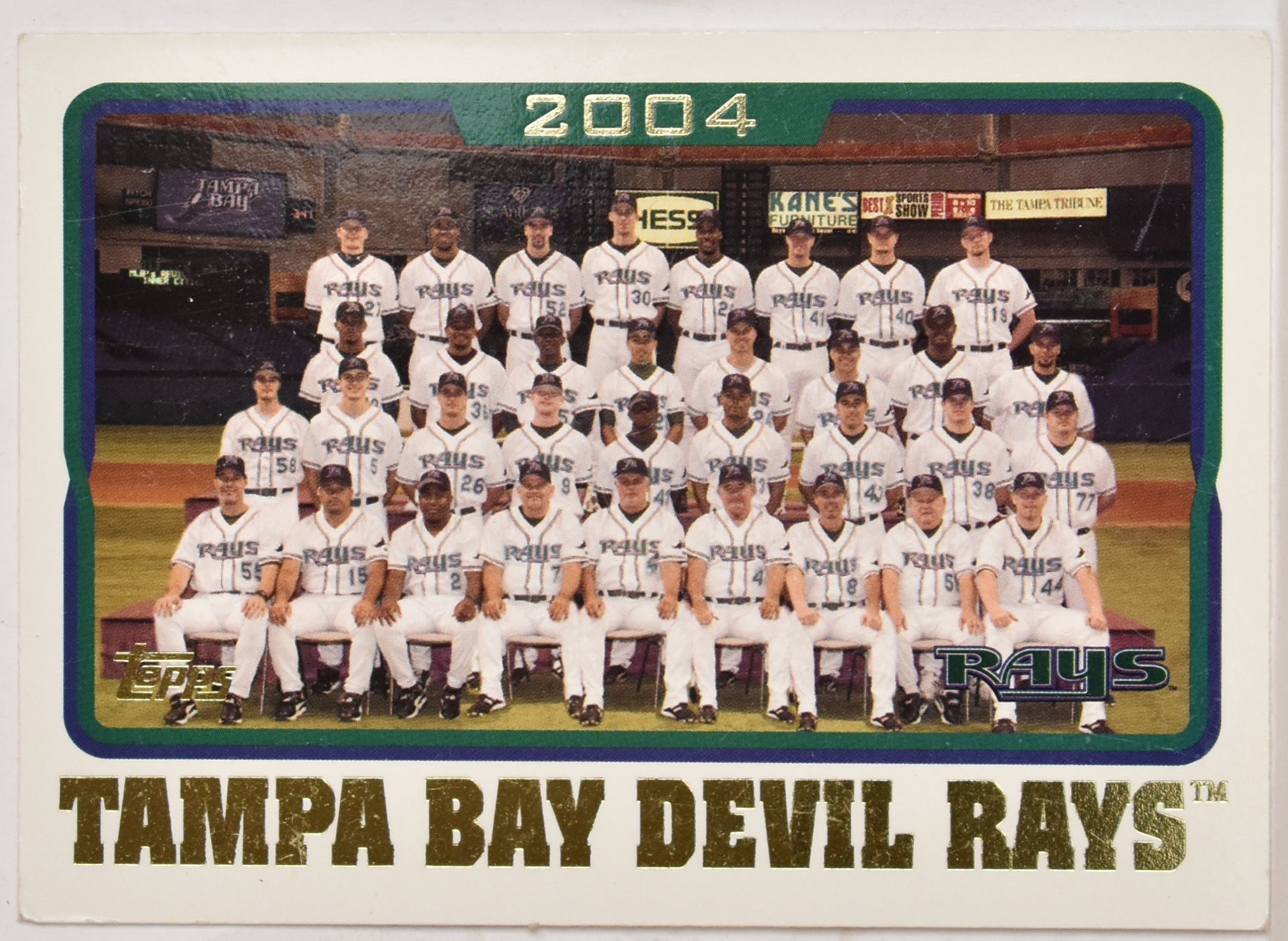 Tampa Bay Devil Rays Tropicana Field 2004 665 Topps Baseball Card