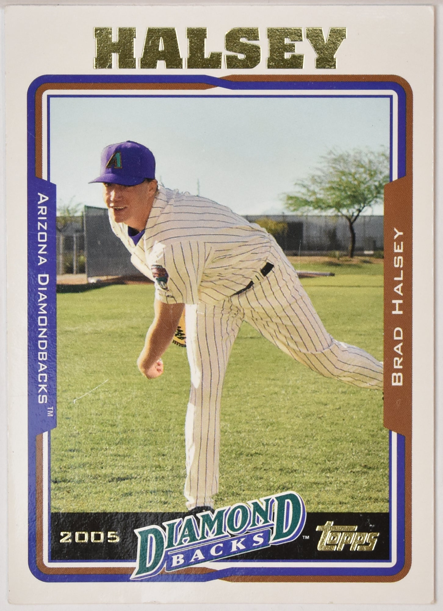 Brad Halsey 388 Topps Baseball Card 2005