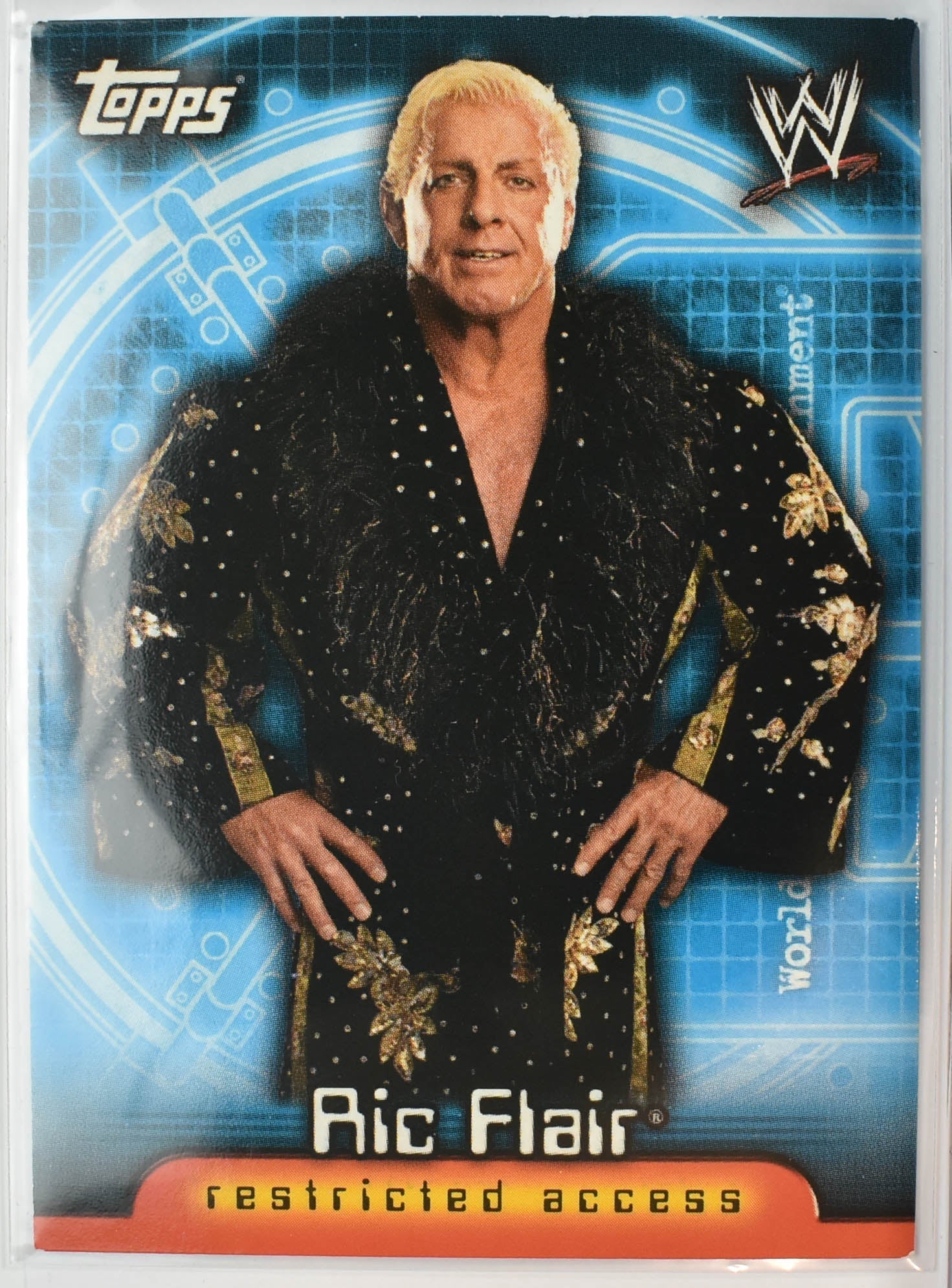 Ric Flair 20 Topps Wrestling Card 2006 Access Granted