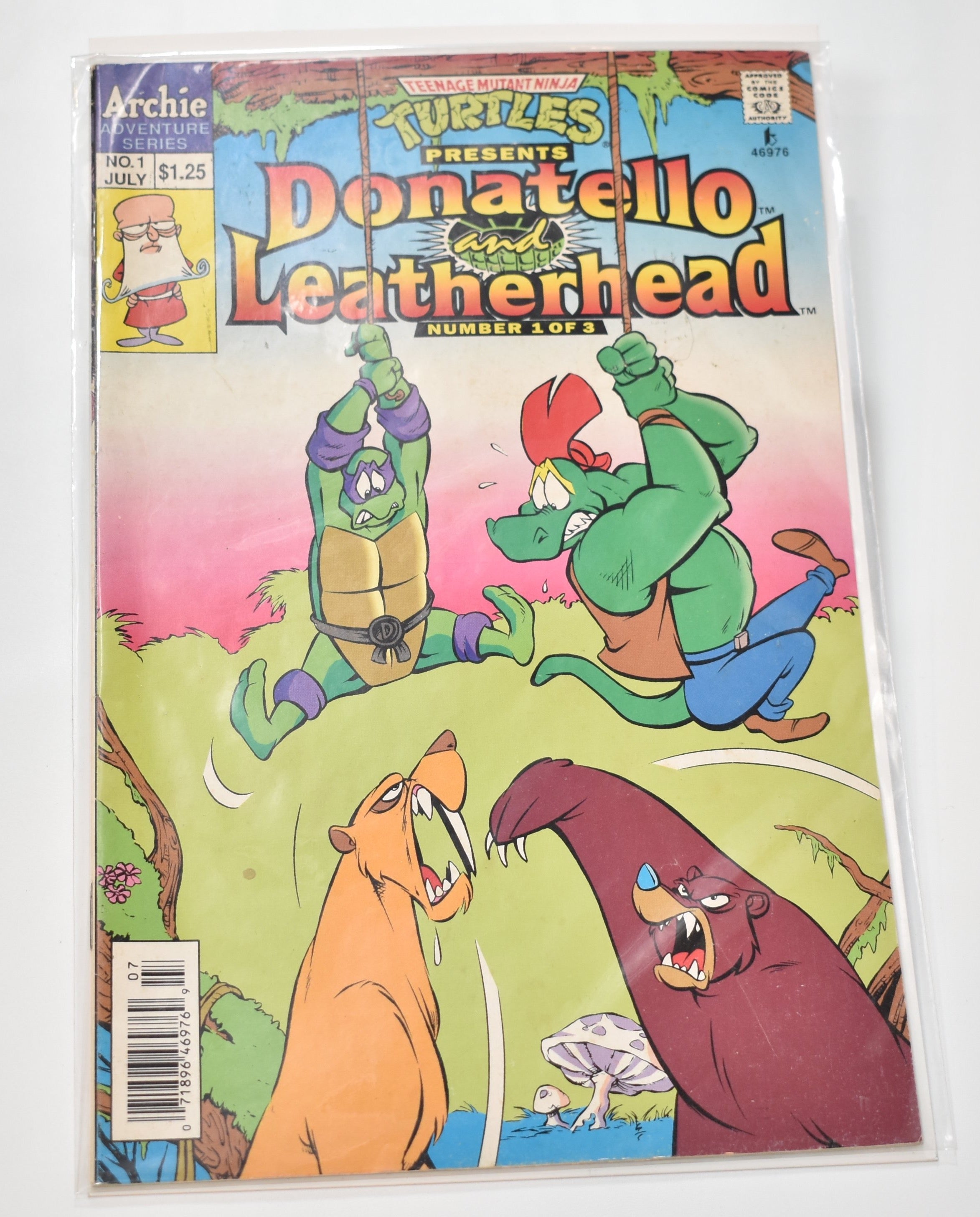 Donatello Leather head Number 1 of 3 Comic book No. 1 Archie Comics