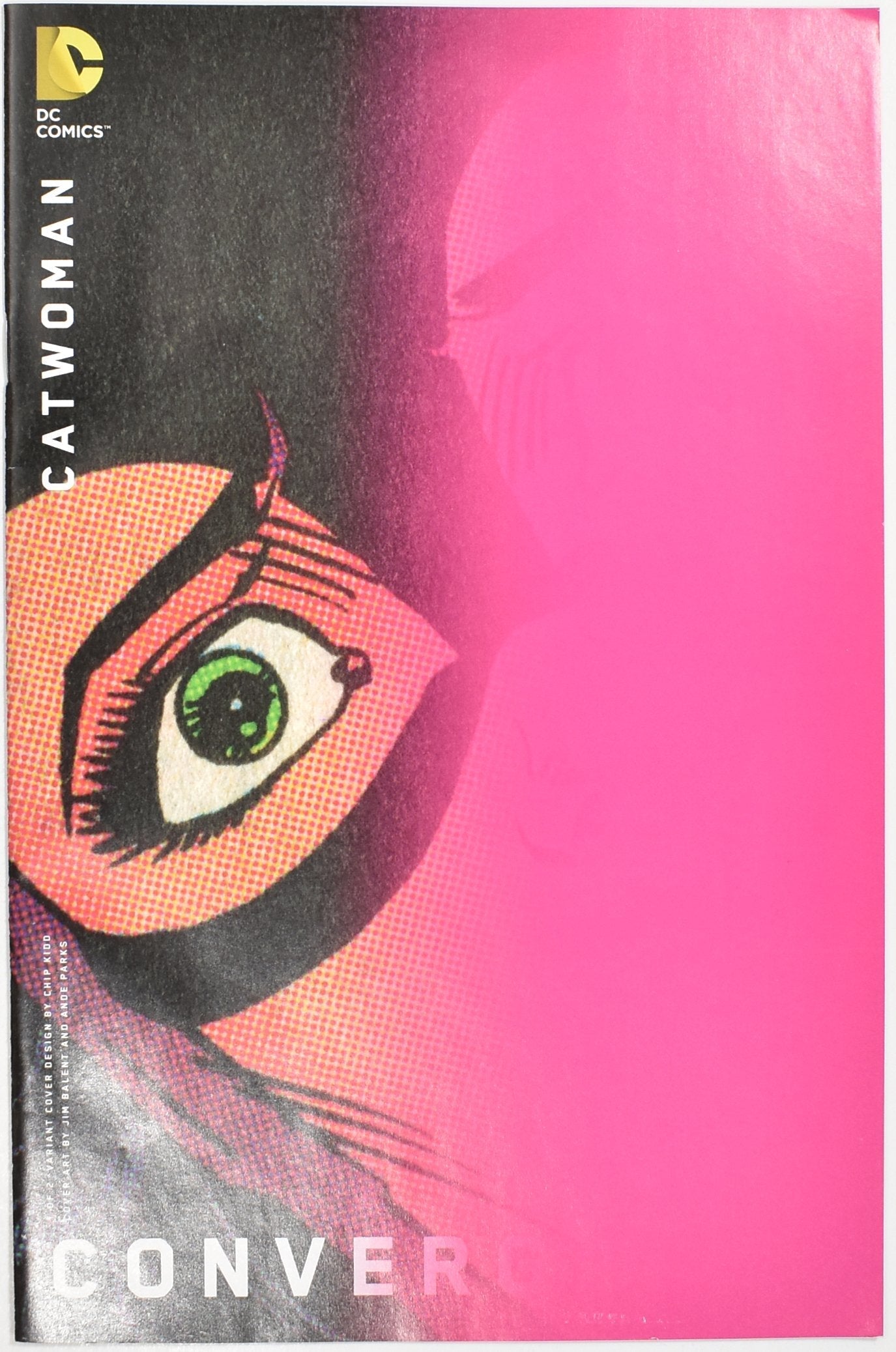 Cat Woman 1 of 2 Variant Cover Dc Comics Comic Book