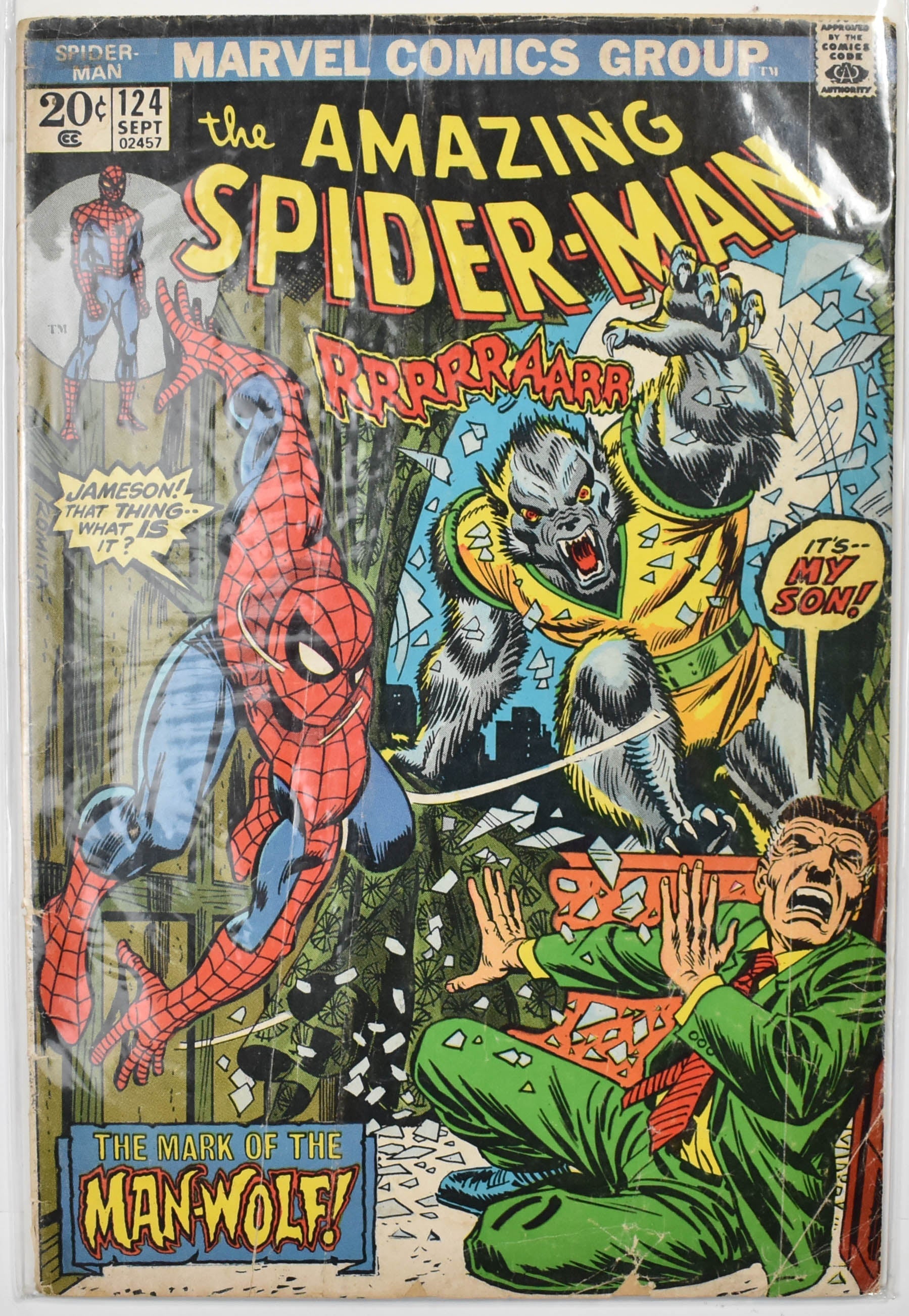 The Amazing Spider Man Marvel Comic Book 124