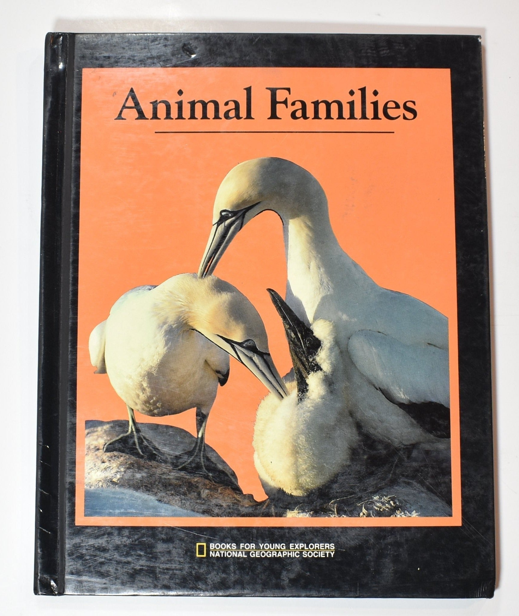 Animal Families National Geographic Society Book Used Hard Cover