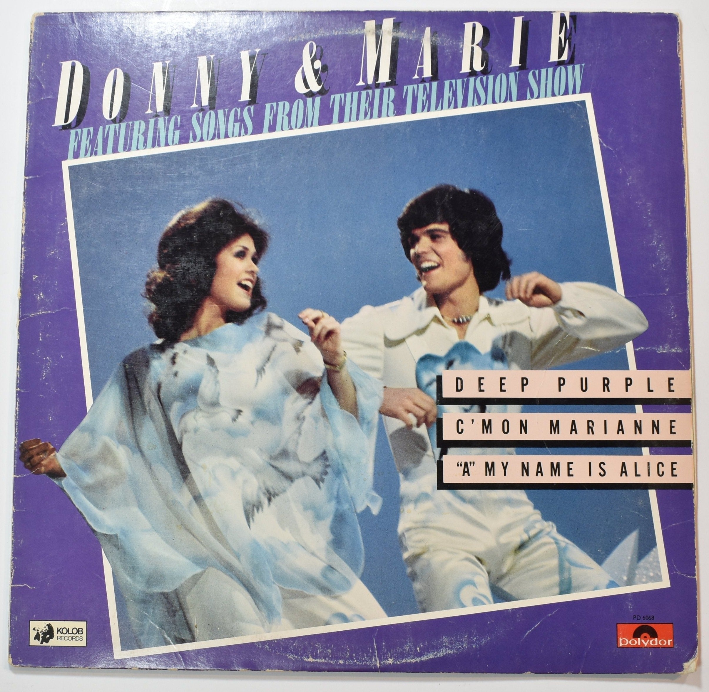 Vinyl Music Record Donny And Marie Deep Purple used record