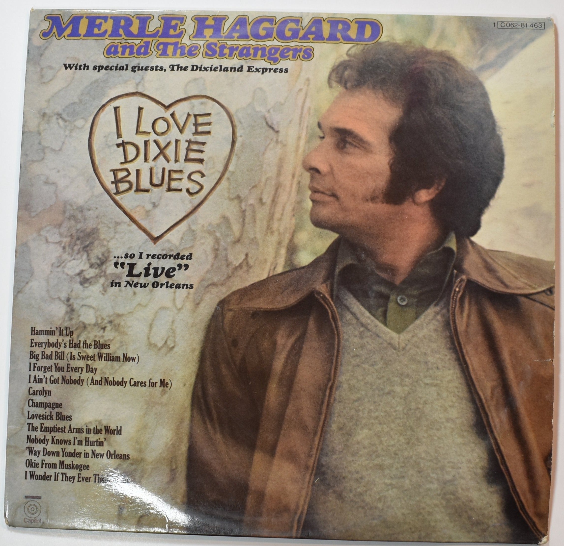 Vinyl Music Record Merle Haggard I love dixie Blues