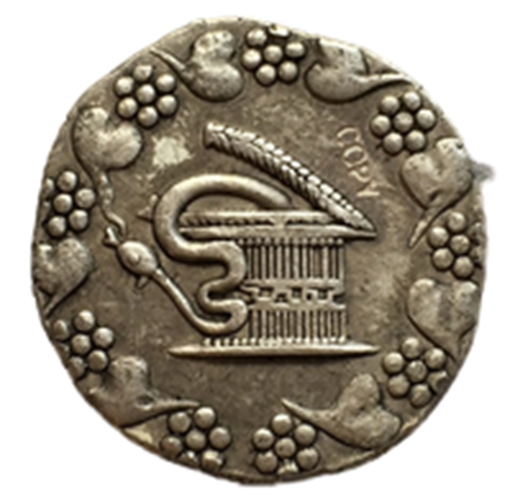 Play Coins History Themed Replica Coins Theater Larping Cosplay Authentic COPIES 021
