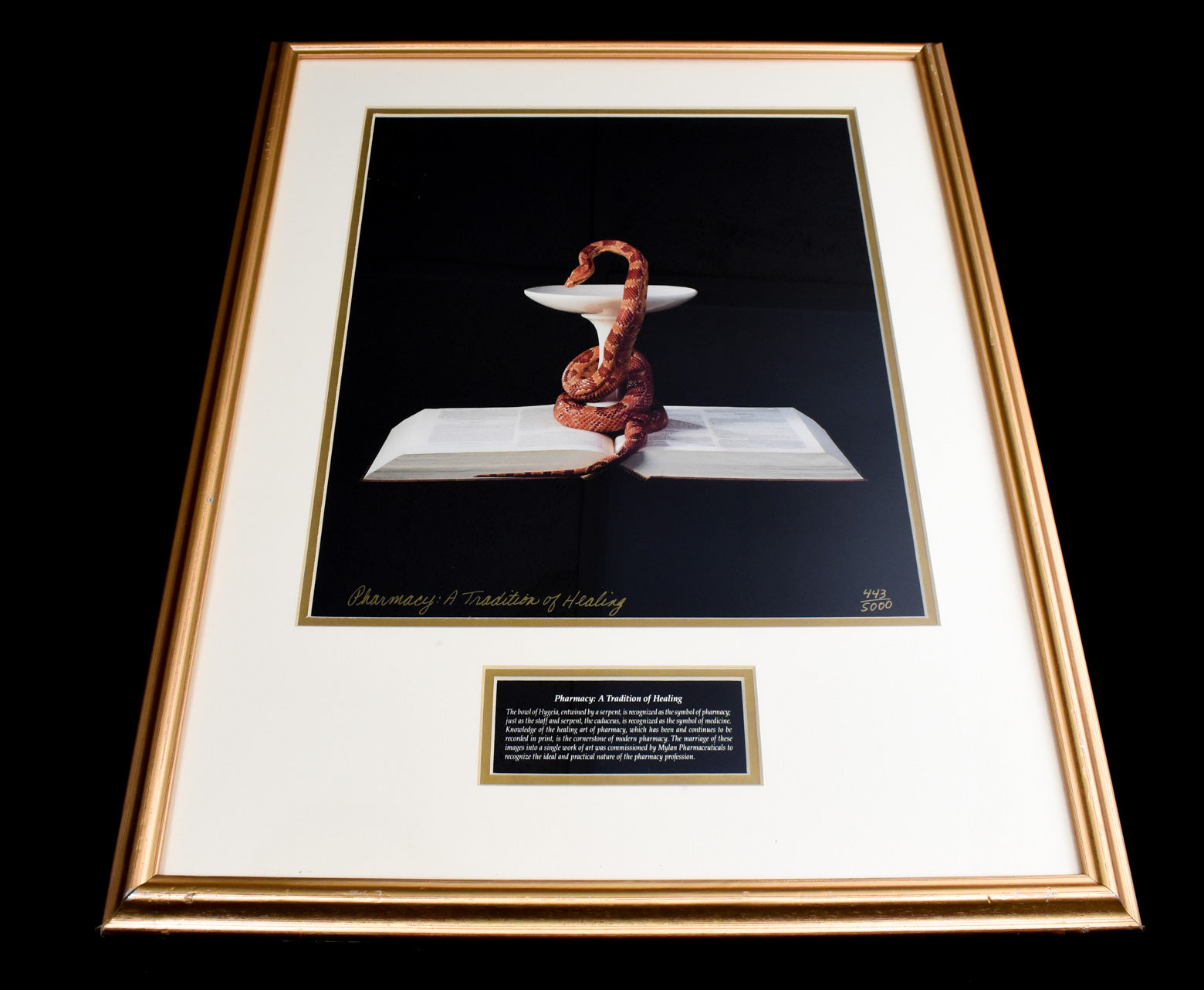 Pharmacy A Tradition of Healing Framed Artwork Limited Print 443 / 5000