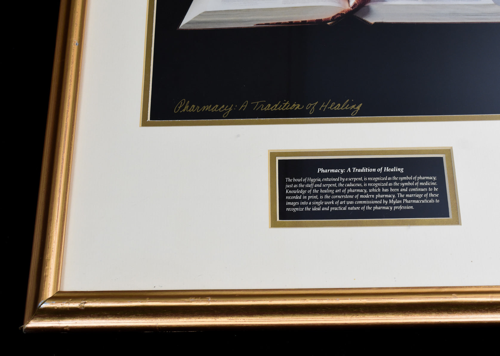 Pharmacy A Tradition of Healing Framed Artwork Limited Print 443 / 5000