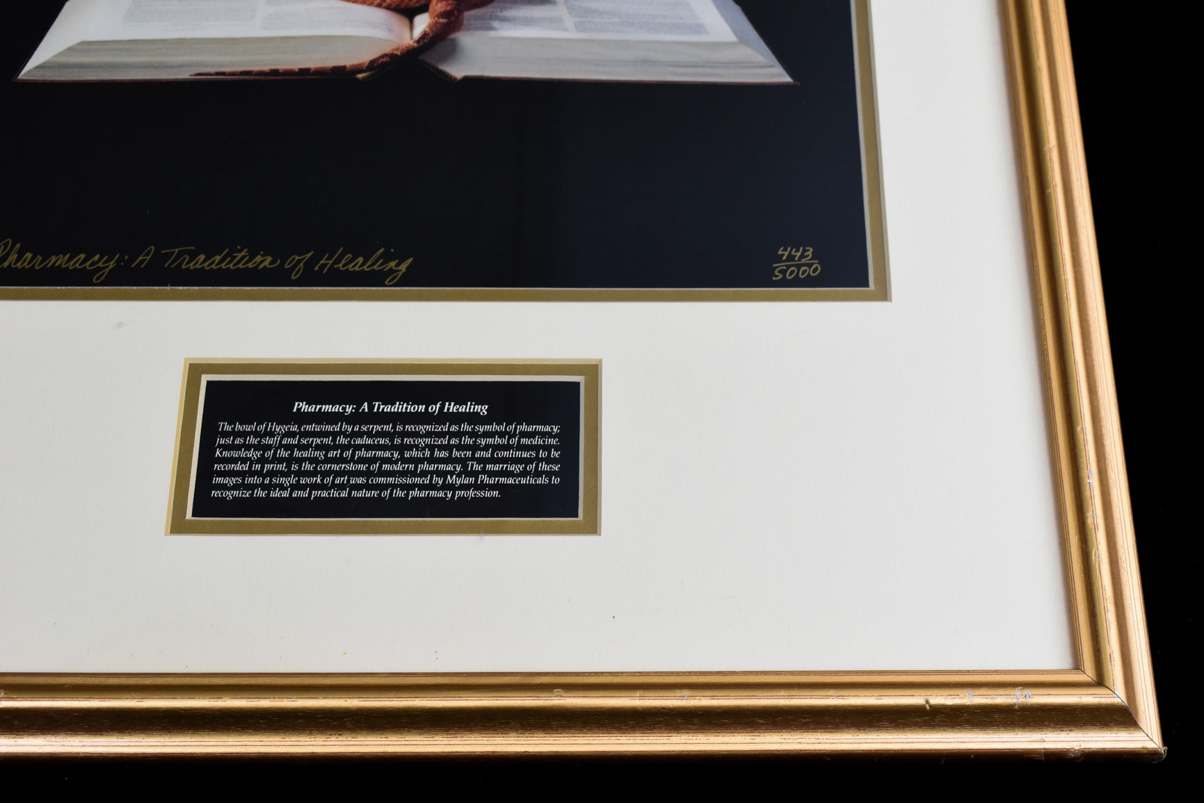 Pharmacy A Tradition of Healing Framed Artwork Limited Print 443 / 5000