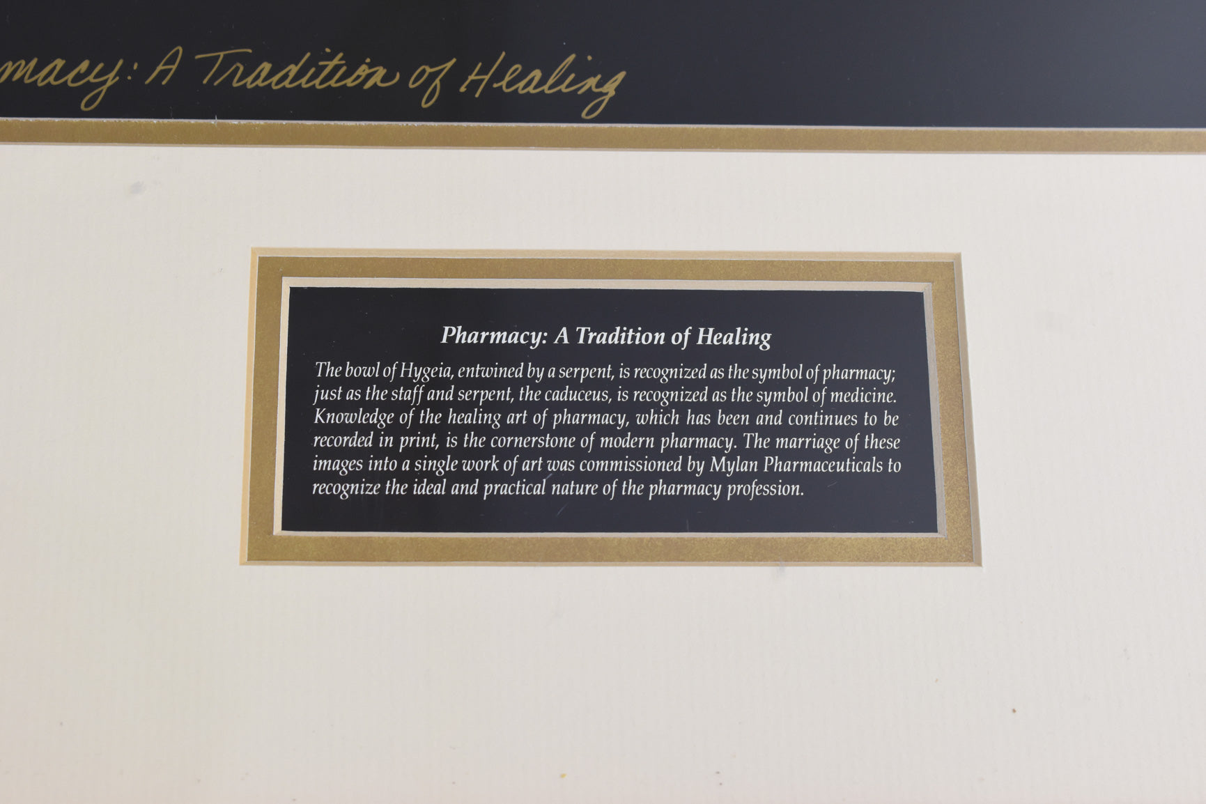 Pharmacy A Tradition of Healing Framed Artwork Limited Print 443 / 5000