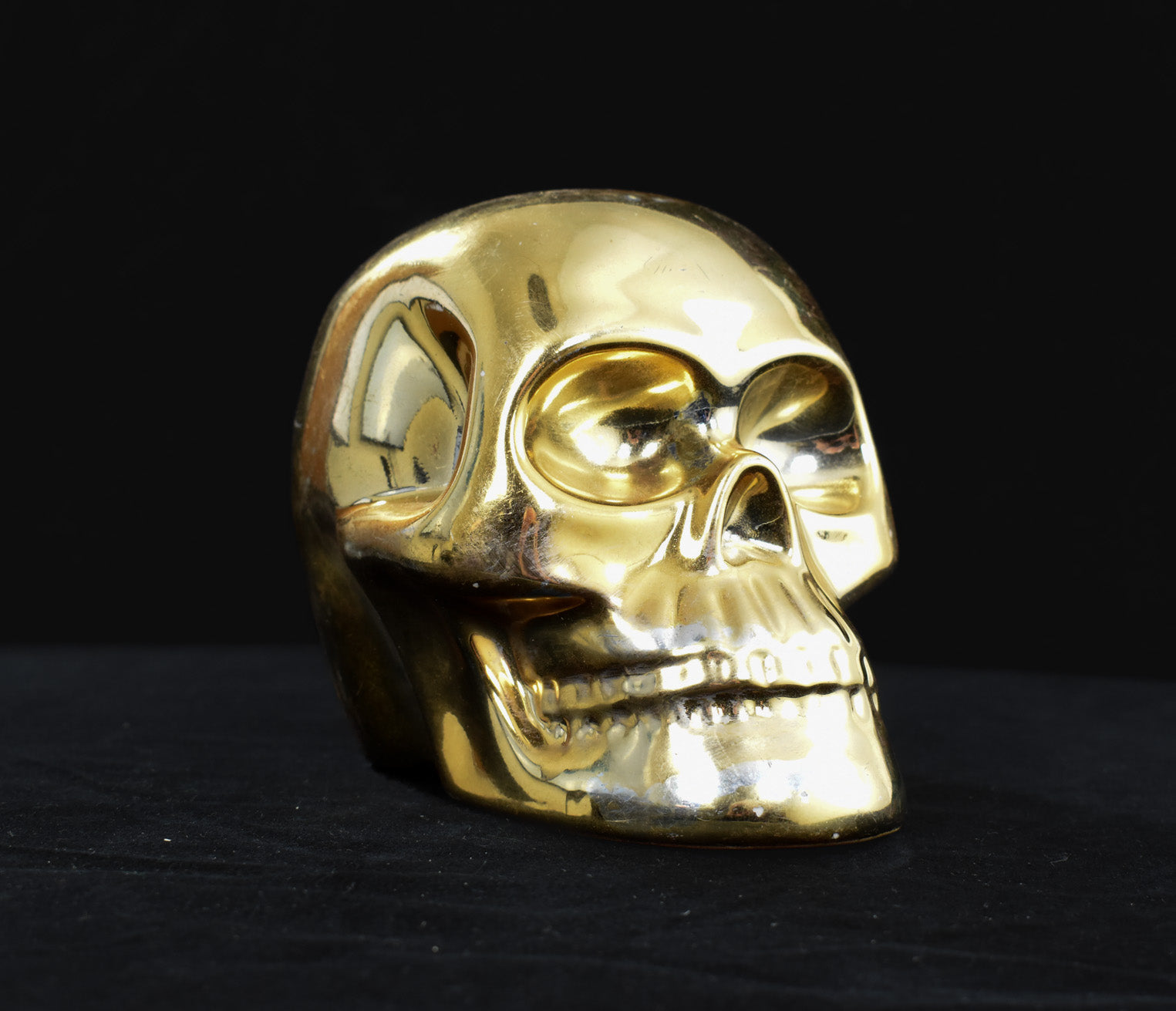 Electroplated Shiny Gold Cranium Skull Head Money Bank Resin Figurine 6in x 5in