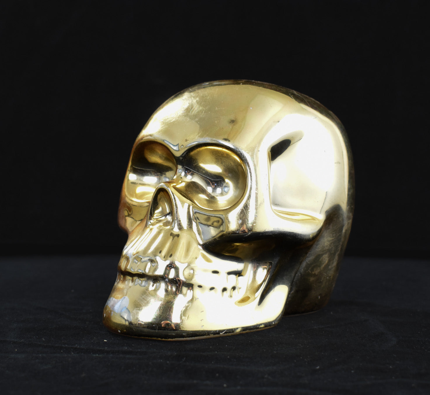 Electroplated Shiny Gold Cranium Skull Head Money Bank Resin Figurine 6in x 5in