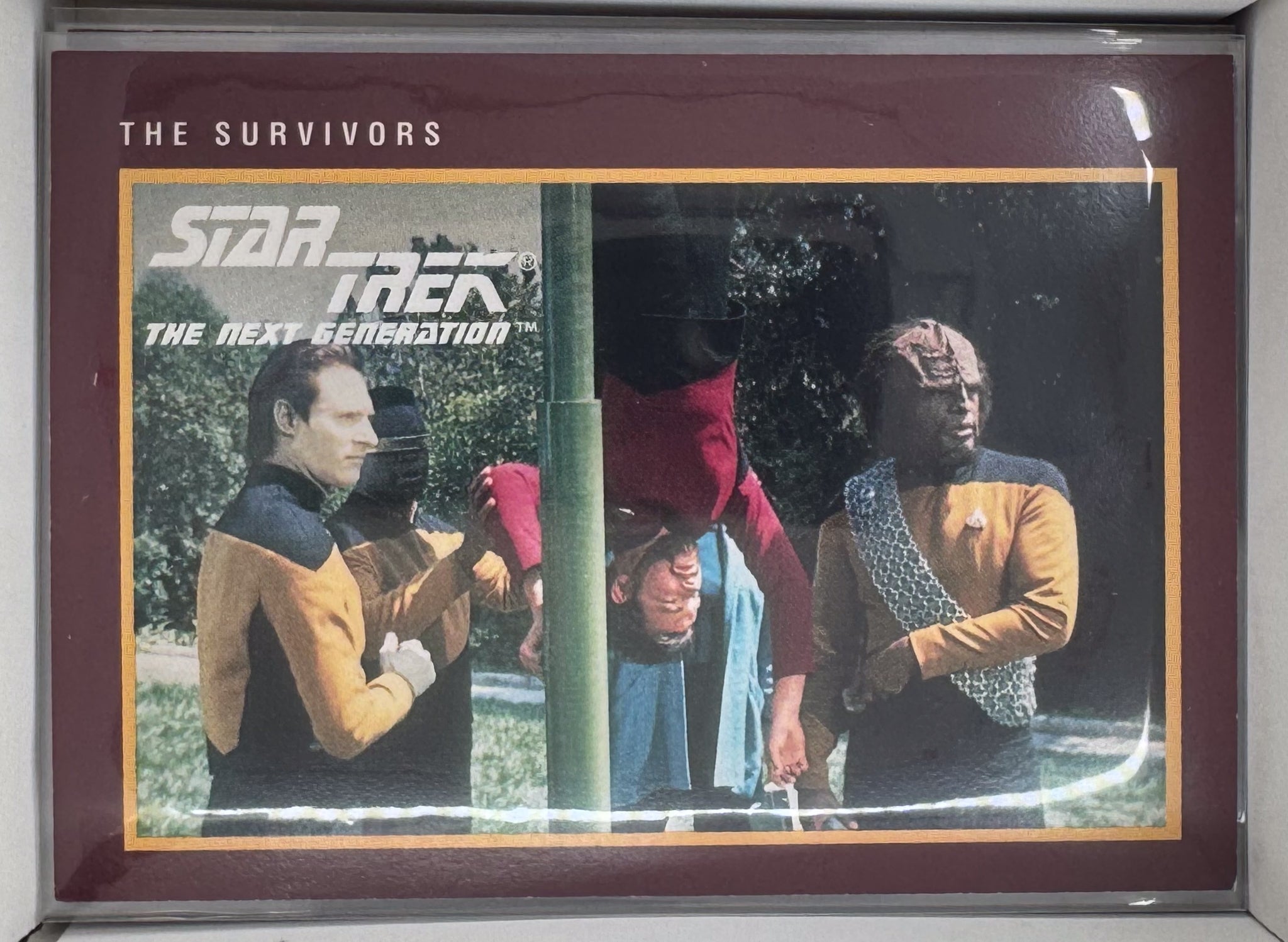 Star Trek Cards 480