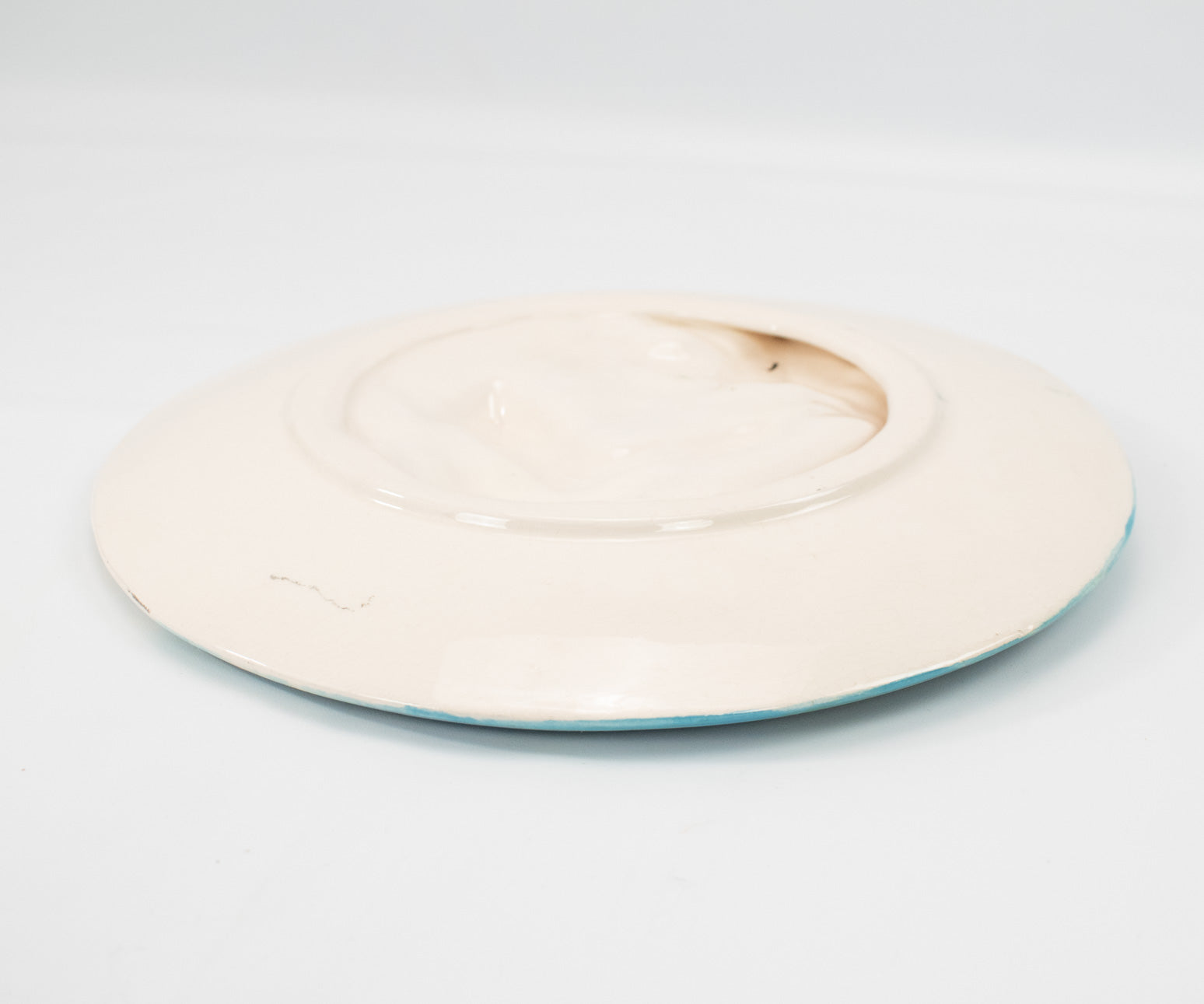 Ocean Side hand made plate Hand painted used