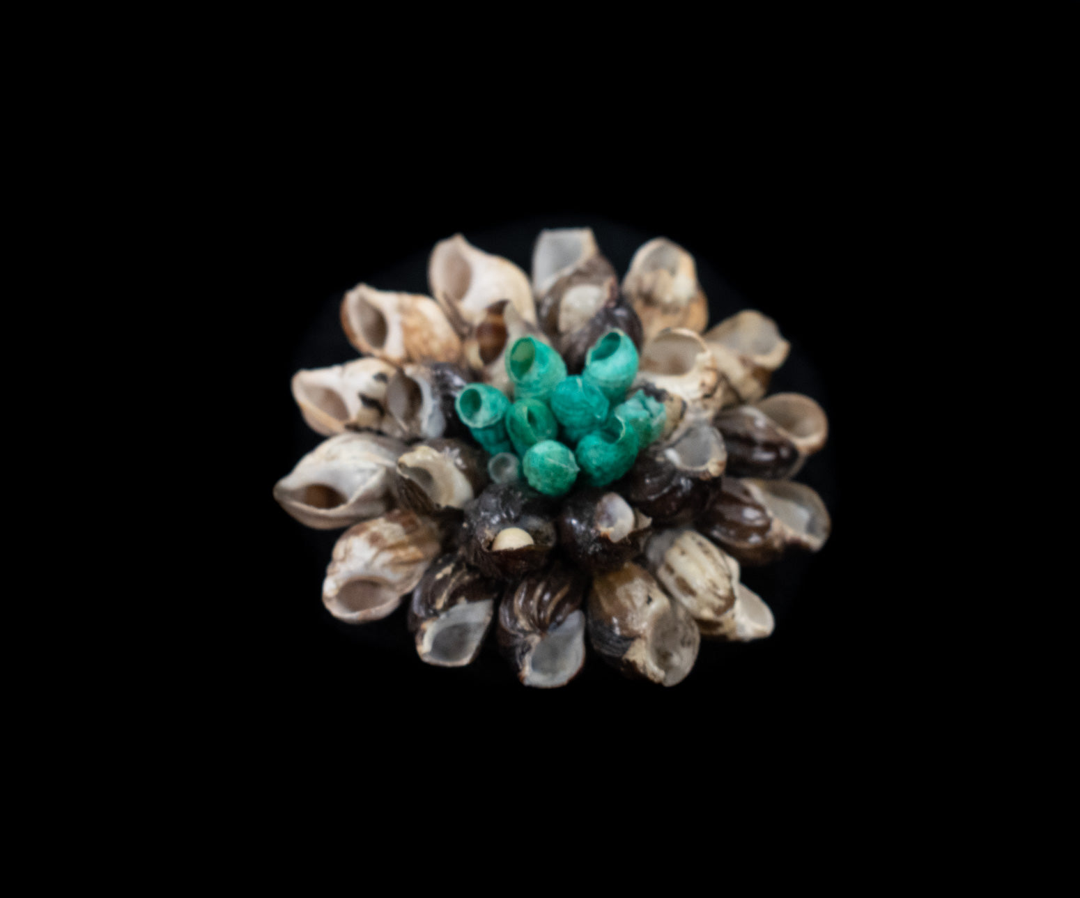 Seashell Pin Collectible Vintage Pin Used Sea Shell Beach Pin Hand Made
