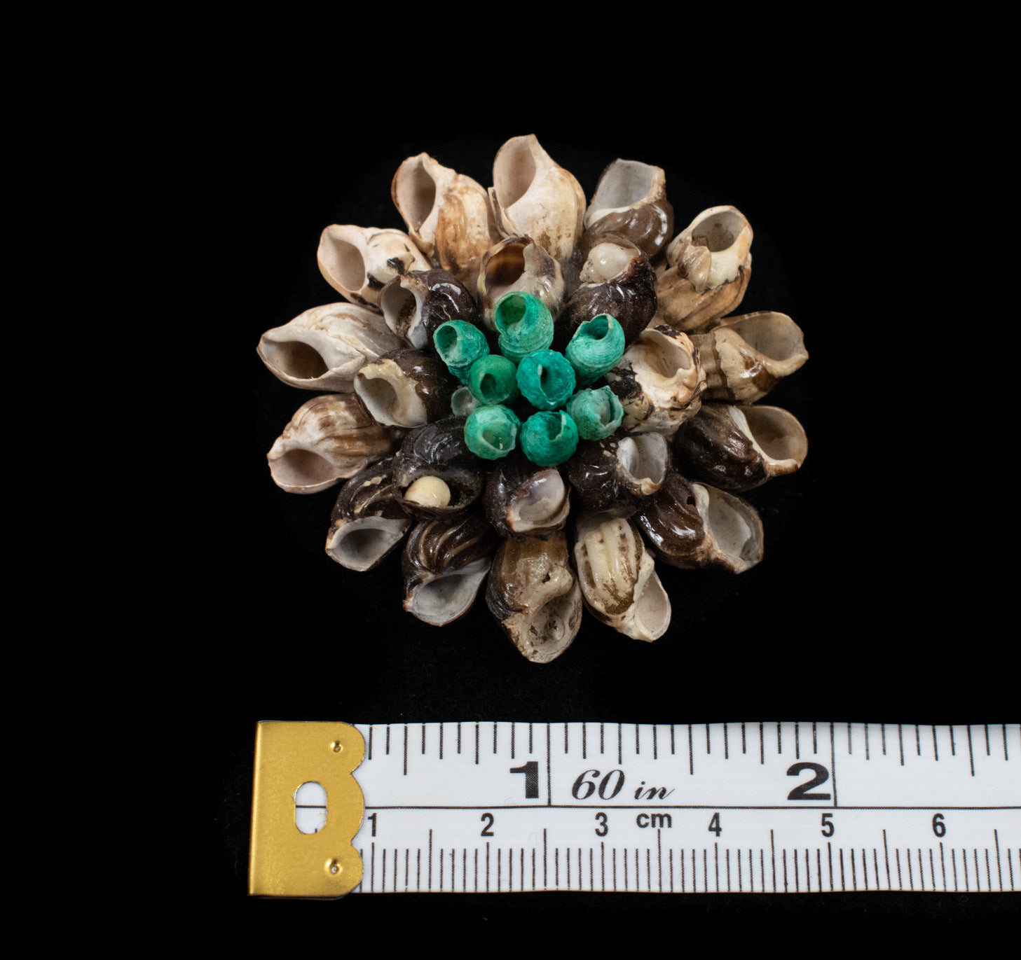 Seashell Pin Collectible Vintage Pin Used Sea Shell Beach Pin Hand Made