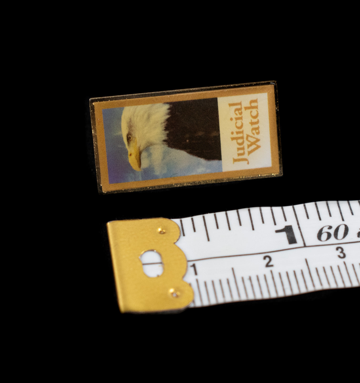Judicial Watch American Eagle Pin Used 1 inch Gold
