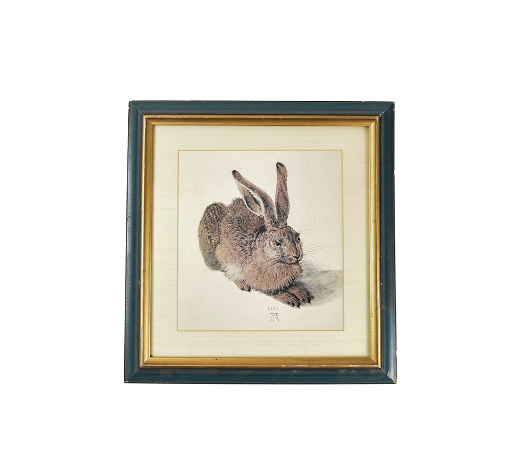 Albrecht Durer Vintage Framed Durer Hare The Rabbit 1502 Mid Century Repo