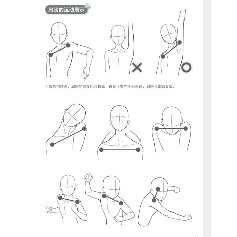 Books Easy To Draw Manga Male and Female Head Portraits Sketching Line Drawing B