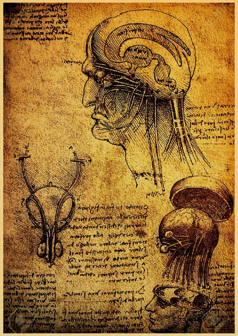 Leonardo Da Vinci Manuscript Vitruvian Man Posters Nostalgic Retro Decorative 12x16