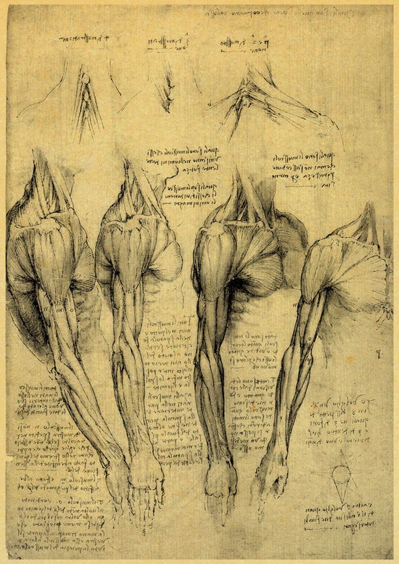 Leonardo Da Vinci Manuscript Vitruvian Man Posters Nostalgic Retro Decorative 12x16