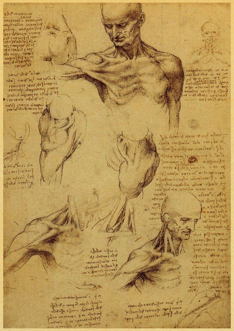 Leonardo Da Vinci Manuscript Vitruvian Man Posters Nostalgic Retro Decorative 12x16