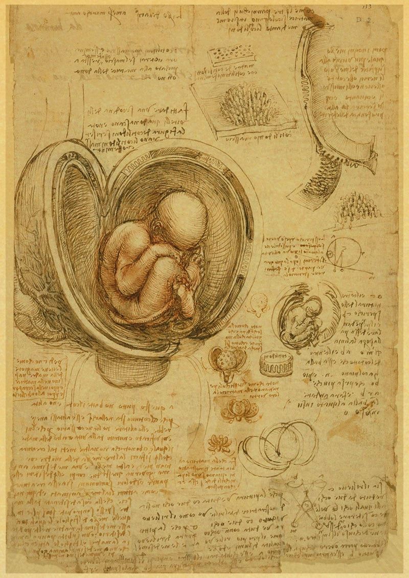Leonardo Da Vinci Manuscript Vitruvian Man Posters Nostalgic Retro Decorative 12x16