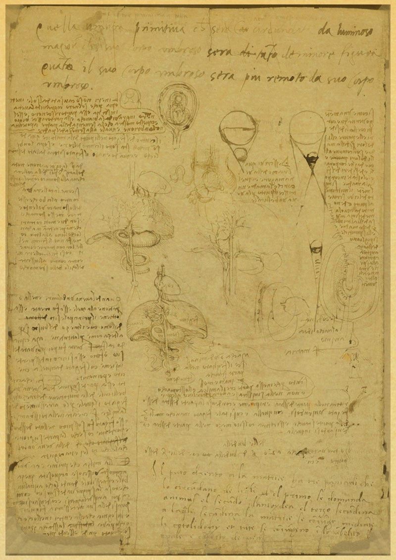 Leonardo Da Vinci Manuscript Vitruvian Man Posters Nostalgic Retro Decorative 12x16