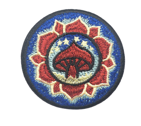 Patch- 13
