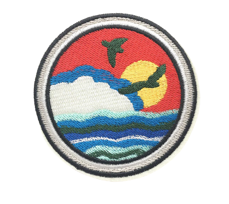 Patch- 19