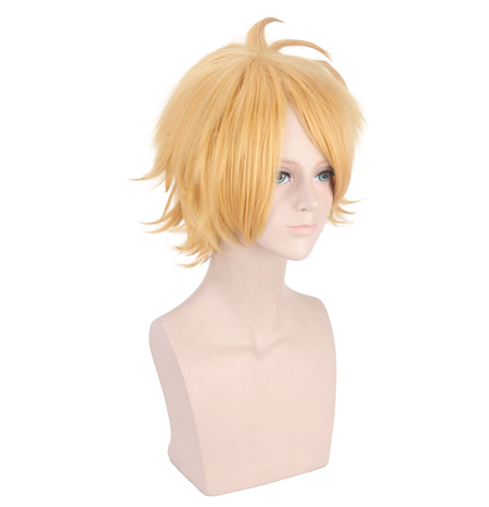 Wig 024