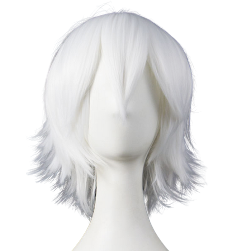 Wig 022