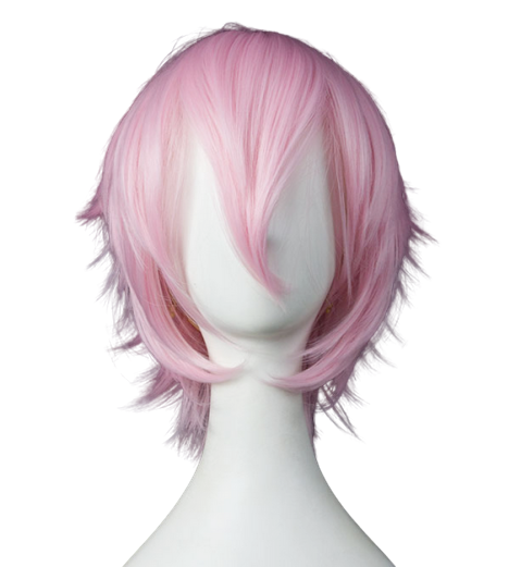 Wig 010